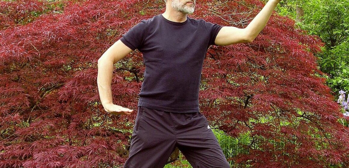michaelraab-tai-chi-1420823_1280
