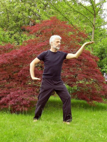 michaelraab-tai-chi-1420823_1280